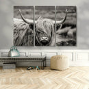 Cow Focus Canvas Wall Art Print by MyGreatCanvas | Canvas Wall Art Prints | Photo Prints & Wall Decor