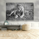 King Forest Lion Wall Art Canvas Print – Framed Majestic by MyGreatCanvas | Canvas Wall Art Prints | Photo Prints & Wall Decor