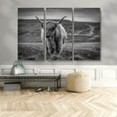Fluffy Cattle Wall Art Print, Highland Cow Canvas, Framed by MyGreatCanvas | Canvas Wall Art Prints | Photo Prints & Wall Decor