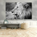 African Lion Wall Art Canvas Print – Majestic Wildlife
