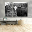 Western Home Wall Art Canvas Print, Framed Texas Longhorn by MyGreatCanvas | Canvas Wall Art Prints | Photo Prints & Wall Decor