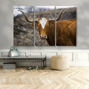 Framed Big Cow Animal Wall Art Canvas Print by MyGreatCanvas | Canvas Wall Art Prints | Photo Prints & Wall Decor