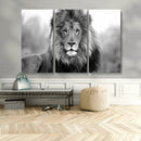 Black and White Lion Canvas Wall Art – Animal Print Artwork