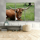 Longhorn Steer Canvas Wall Art – Rustic Nature Triptych by MyGreatCanvas | Canvas Wall Art Prints | Photo Prints & Wall Decor