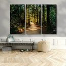 Sunlit Forest Pathway Canvas Print | 3 Panel Large Nature by MyGreatCanvas | Canvas Wall Art Prints | Photo Prints & Wall Decor