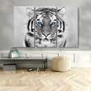 Black and White Tiger Wall Art Animal Canvas Print