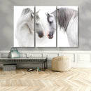 White Horse Wall Art Animal Canvas Print