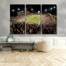 Washington-Grizzly Stadium Canvas Print, American Football