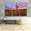 Arizona Desert Wall Art Canvas Print - Framed Deser Sunset