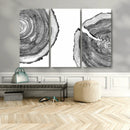 Abstract Large Tree Rings – Minimalist Black and White Wood