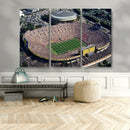 Michigan Wolverines Football Team Print - Ann Arbor Michigan