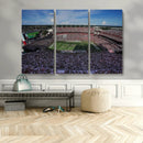 South Carolina Gamecocks Football Team Print - Columbia