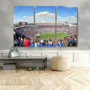 Buffalo Bills NFL Football Team Print - Buffalo Highmark