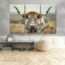 Texas Cow Longhorn Wall Art Canvas Print for Farm House Wall
