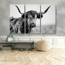 Texas Cow Longhorn Wall Art Canvas Print in Black and White