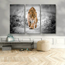 Jaguar Wall Art Canvas Print - Majestic Big Cat in Focused by MyGreatCanvas | Canvas Wall Art Prints | Photo Prints & Wall Decor