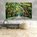 Serene Tree Tunnel Wall Art Canvas Print – Pathway Under by MyGreatCanvas | Canvas Wall Art Prints | Photo Prints & Wall Decor