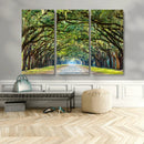 Wormsloe State Plantation Driveway Wall Art Canvas Print by MyGreatCanvas | Canvas Wall Art Prints | Photo Prints & Wall Decor