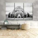 Resting Grizzly Bear Wall Art Canvas Print – Majestic Lazy by MyGreatCanvas | Canvas Wall Art Prints | Photo Prints & Wall Decor