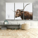Rustic Bull Wall Art Canvas Print – Modern Longhorn