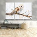 Barn Owl Wall Art on Branch | Stunning Canvas Print for