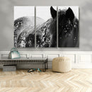 Black Horse in Snow Canvas Print | Winter Horse Wall Art |