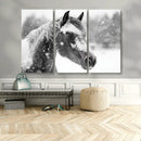 Black Horse Winter Wall Art | Ready to Hang and Framed |