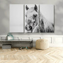 White Horse Wall Art | Ready to Hang and Framed | Winter