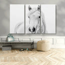 Majestic White Horse Wall Art | Ready to Hang and Framed |