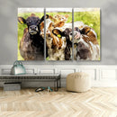 Curious Cows Farmhouse Wall Art | Ready to Hang and Framed by MyGreatCanvas | Canvas Wall Art Prints | Photo Prints & Wall Decor