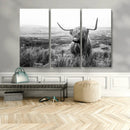 Scottish Highland Cow Wall Art | Black and White Canvas