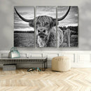 Scottish Highland Cow Wall Art Canvas Print | Ready to Hang