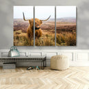 Scottish Highland Cow Canvas Wall Art – Rustic Farmhouse