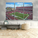 Florida Tampa Raymond James Stadium Wall Art Canvas Print -