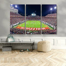 NC State Wolfpack Canvas Print - Raleigh Carter-Finley