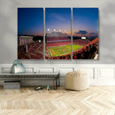 NC State Wolfpack Football Team Print - Raleigh by MyGreatCanvas | Canvas Wall Art Prints | Photo Prints & Wall Decor