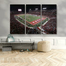 Houston Cougars Football Team Print - Houston TDECU Stadium