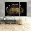Wake Forest University Demon Deacons Canvas Printi, Football