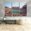 Framed Texas Memorial Stadium Canvas, University of Texas