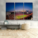 Wolfpack Football Team Wall Art Print - Raleigh