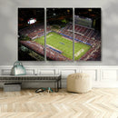 Florida Atlantic University Owls Canvas Print, Football Team by MyGreatCanvas | Canvas Wall Art Prints | Photo Prints & Wall Decor