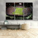 Florida Atlantic University Owls Football Team Print - Boca by MyGreatCanvas | Canvas Wall Art Prints | Photo Prints & Wall Decor