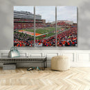 University of Illinois Fighting Illini Football Team Print - by MyGreatCanvas | Canvas Wall Art Prints | Photo Prints & Wall Decor