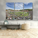 University of Charlotte 49ers Football Team Print - by MyGreatCanvas | Canvas Wall Art Prints | Photo Prints & Wall Decor