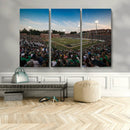 University of Charlotte 49ers Football Team Print - by MyGreatCanvas | Canvas Wall Art Prints | Photo Prints & Wall Decor