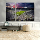 Penn State Nittany Lions Football Team Print - University