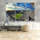Framed USF Bulls Football Team Print - Tampa Raymond James by MyGreatCanvas | Canvas Wall Art Prints | Photo Prints & Wall Decor