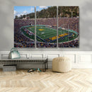 University of California Golden Bears Football Team Print - by MyGreatCanvas | Canvas Wall Art Prints | Photo Prints & Wall Decor