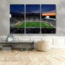 Michigan State Spartans Football Team Print - East Lansing