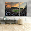 Michigan State Spartans Football Team Print - East Lansing